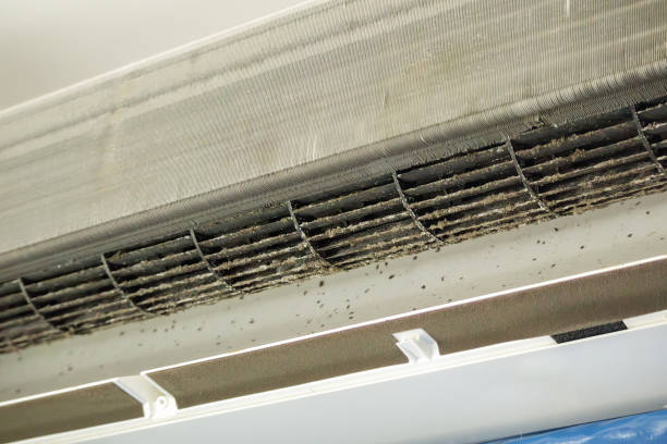 Best Ductwork Cleaning Services  in Byram Center, NJ
